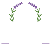 Borház Apartman Eger